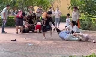 北京动物园打架事件 北京动物园打架事件